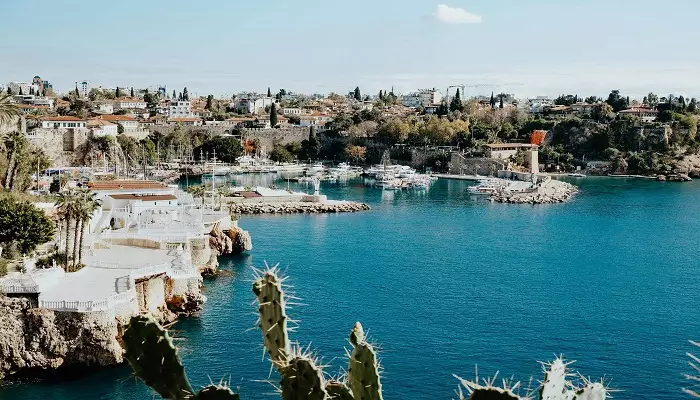 کوش آداسی یا آنتالیا کوش آداسی یا آنتالیا